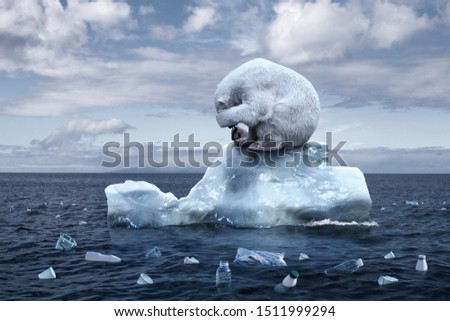 climate change. garbage patch. the bear cries closing its face with its paws. polar bear sits on a melting glacier in the middle of the ocean. ecological catastrophy