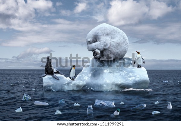 climate change. garbage patch. the bear cries\
closing its face with its paws. polar bear, penguins and fur seal\
sits on a melting glacier in the middle of the ocean. ecological\
catastrophy