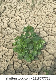climate change and global warming problem in the world