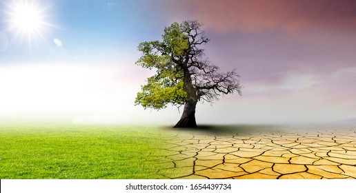Climate change - landscape with dry earth, Meadow and oak tree