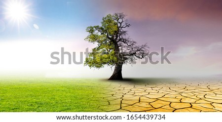 Climate change - landscape with dry earth, Meadow and oak tree