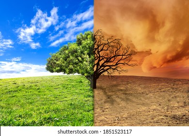 Climate change landscape with tree