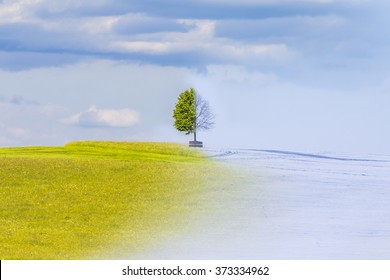 Climate change from summer to winter time over the year. Nature weather visual with a single tree on a hill. A warm meadow has a transition to cold snow. Juicy leaves have a transition to icy branches