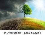 

climate change withered earth