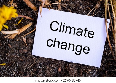 Climate Change Words Written On White Paper, Over Dry Soil With Dried Leaves And Plants. Save Planet Social Problems Abstract Concept.