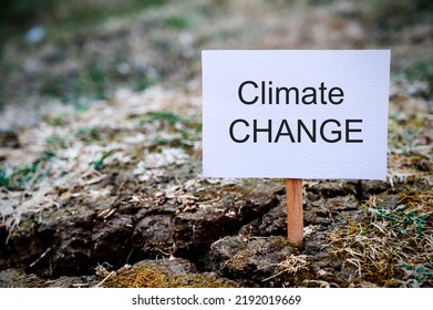 Climate Change Words Written On White Paper, Over Dry Soil With Dried Leaves And Plants. Save Planet Social Problems Abstract Concept.