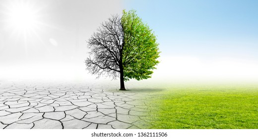 Climate changing landscape - Shutterstock ID 1362111506