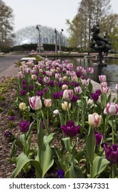 Climatron At The Missouri Botanical Gardens