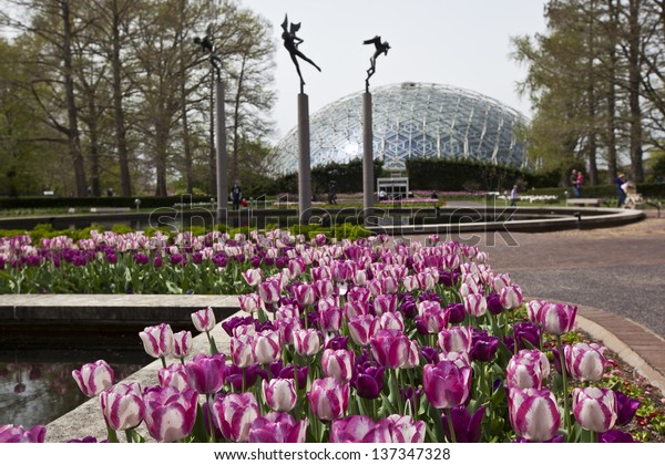 Climatron Missouri Botanical Gardens Stockfoto Jetzt Bearbeiten