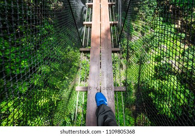 Climb between trees