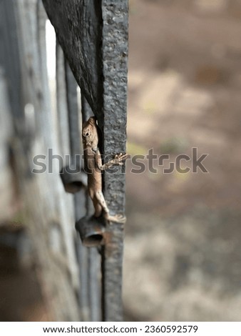 Similar – Image, Stock Photo key to my heart Wood Metal