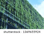 Climber plant (green wall) on the condominium  wall  and green buildig for save enviroment