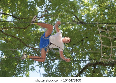 climbing cables in the trees