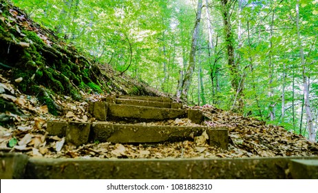 Climbing Up In The Forest. Uphill Path. Hiking In Forest. Step By Step. Walking Up. Hard Journey. Walking Against Difficulties. The Mountain Road. Climbing Wooden Stairs.  Walking Up On Hill In Forest