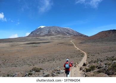 Climbing The Mount Kilimanjaro, The Highest Mountain In Africa Kilimanjaro