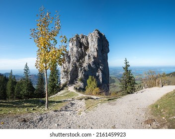 climbing rock at Kampenwand mountain, autumnal tree and view to lake Chiemsee bavaria