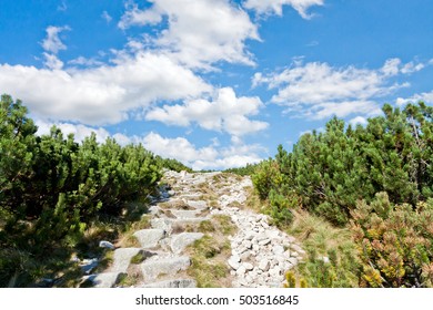 Climbing to the sky