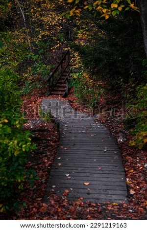 Climbing the Stairs into Autumn - a set of stairs leads up a hillside at the end of a wooden boardwalk path surrounded by scenic autumn foliage in Connecticut USA