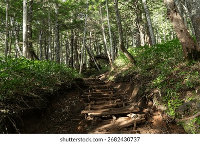Climbing the steep mountain path