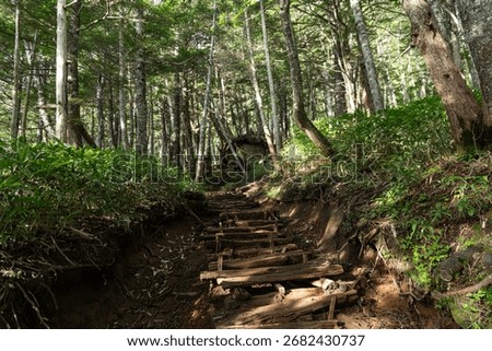 Climbing the steep mountain path