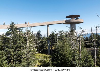 Clingman's Dome In Great Smoky Mountains National Park (North Carolina).