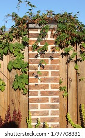 Clinker Brick Pillar With An Iron Cap