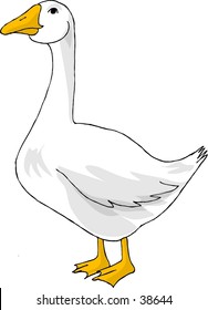 Goose Cartoon Stock Images, Royalty-Free Images & Vectors | Shutterstock