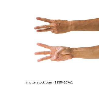 Clipping path hand gestures isolated on white background. Hand making number three sign or symbol gesture. Back hand front gesture. - Shutterstock ID 1130416961