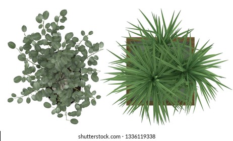 Clipping Path Of Isolate Interior Plants Top View On White Background