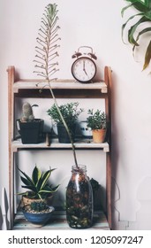 Clock and decorative concept