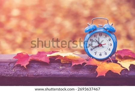 Clock with fallen leaves are on the bench
