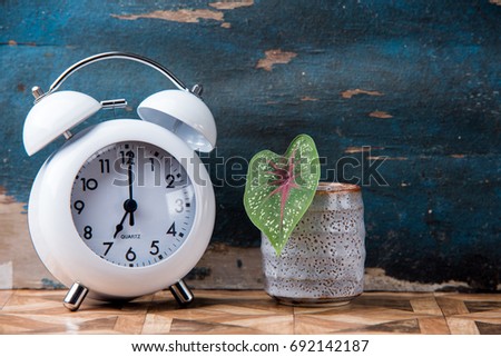 Clock and flower decoration on wooden vintage wall.