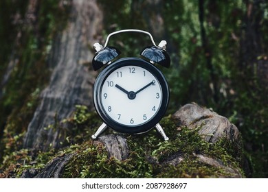 1,940,408 Time nature Images, Stock Photos & Vectors | Shutterstock