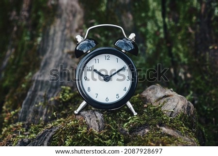 Clock in the forest, time-break, spending time in nature and flow of time concept