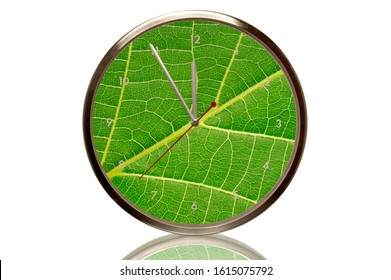 Clock with a green leaf, 5 minutes to twelve, eleventh hour, symbolic image for environment protection