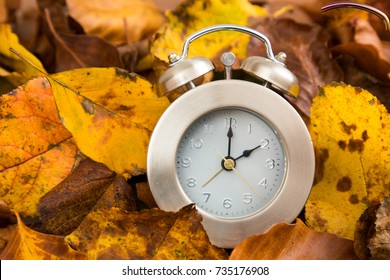 Clock With Leaves Time Change