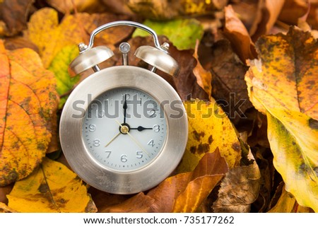 clock with leaves wintertime