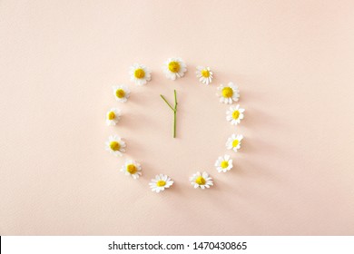 Clock made of beautiful chamomile flowers on color background - Powered by Shutterstock