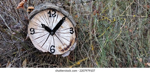 Clock In The Middle Of Nature Built On A Dry Tree Trunk. It Is 10 Oclock In The Morning, Concept Of The Passage Of Time