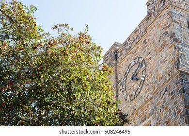 Clock on the side of a building with a blurred tree on the foreground