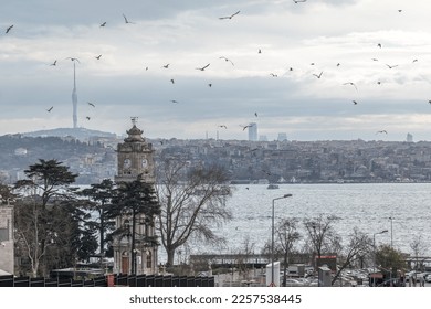 Clock tower of the Dolmabahe Palace.