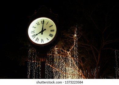 Clock tower and  tree light. City street illumination