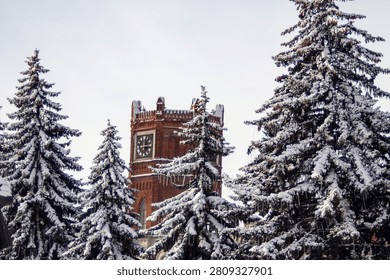 A clock tower is visible in the snow-covered trees. The clock is set at 10:30