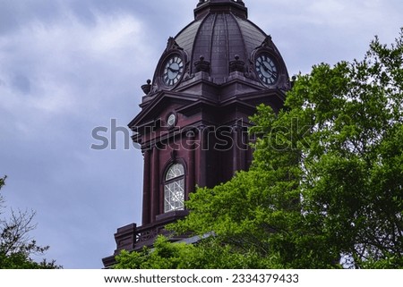 The Clocktower of Newnan, Georgia courthouse behind trees with blue sky