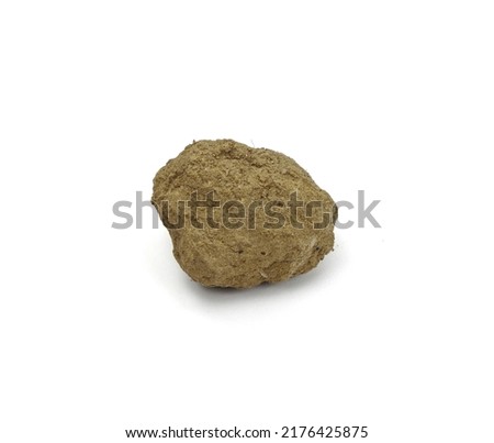 a clod of earth isolated on white background.
