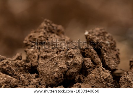 clods of brown earth nature 