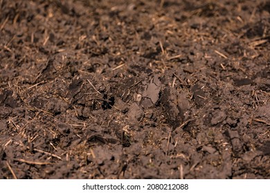 Clods of earth in a plowed field in Germany