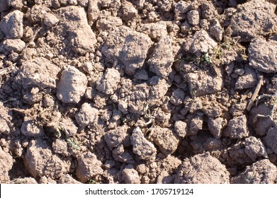 Clods of soil pattern background - Shutterstock ID 1705719124