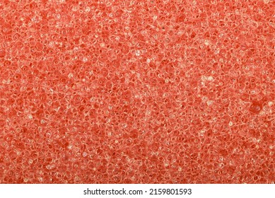 Cloesup texture pattern of sponge surface, looking like cell tissue structure