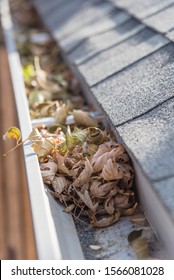 Clogged Gutter Near Roof Shingles Of Residential House Full Of Dried Leaves And Dirty Need To Clean-up. Blocked Drain Pipe On Rooftop. Gutter Cleaning And Home Maintenance Concept